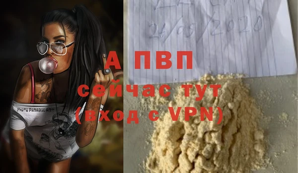 apvp Рославль